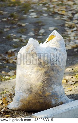 A Bag Of Dry Autumn Foliage. Cleaning On The Street.