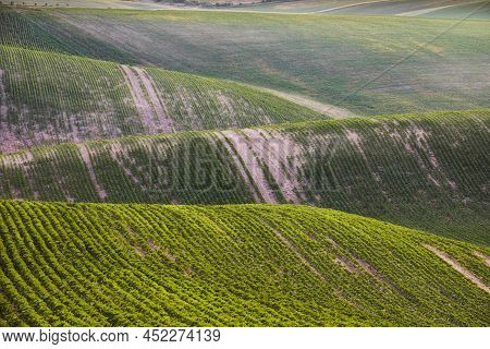 Moravian Tuscany