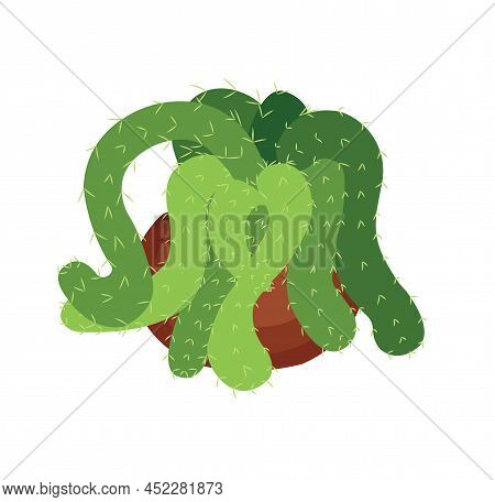 Cactus In A Pot. Vector Stock Illustration Isolated On White Background.