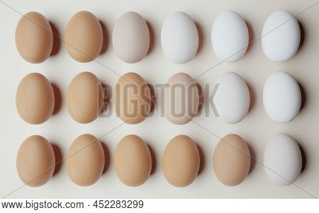 Chicken Eggs Aligned And Ordered From Darkest To Lightest