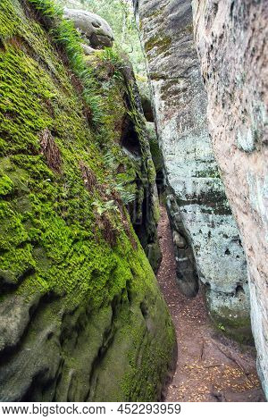 Hruboskalske Skalni Mesto Rock Panorama, Sandstone Rock City, Cesky Raj, Czech Or Bohemian Paradise,