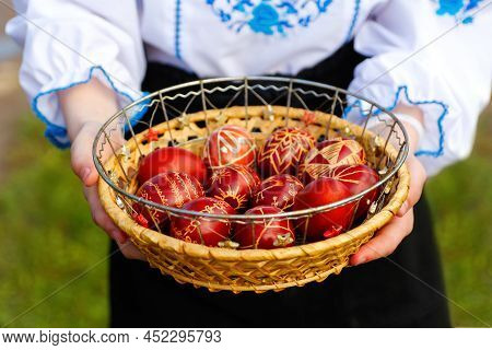 Defocus Female Hands Holding Basket Of Colored Red Eggs On Nature Green Grass Background. Easter Hol