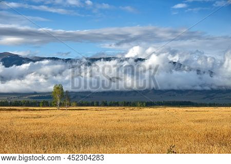 Field, Mountains And Clouds. Evening Landscape After Rain.