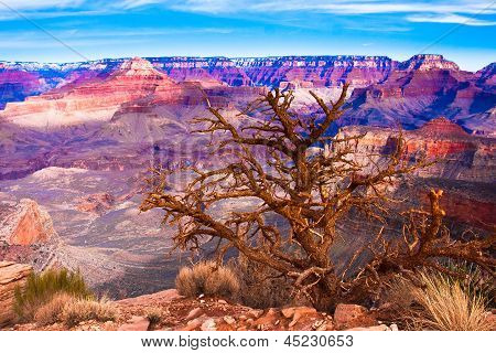 ดูทะเลทรายของโลกเฟมมัสแกรนด์แคนยอนเนชั่นแนลพาร์ค อาริโซน่า สหรัฐอเมริกา