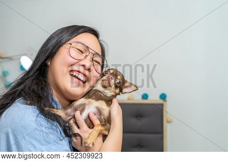 An Asian Glasses Girl Hugs Her Brown Chi Hua Hua Dog, It Feels The Love Of Her Also.