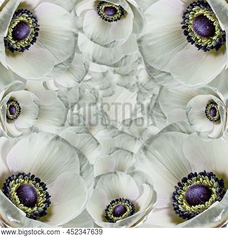 Creative Layout Made Of Flowers And Leaves. Flat Lay. Nature Concept. Floral Greeting Card. Colorful