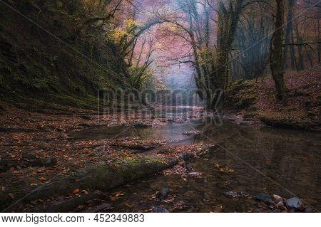 River In Sub Tropics In Autumn. Foggy Dawn On The River.