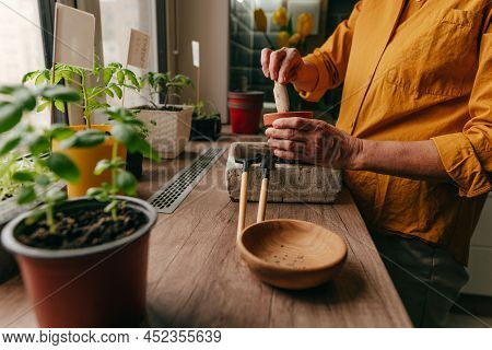 Woman Planting Tomato Seeds In A Flower Pot