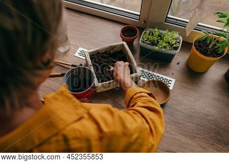Woman Planting Tomato Seeds In A Flower Pot