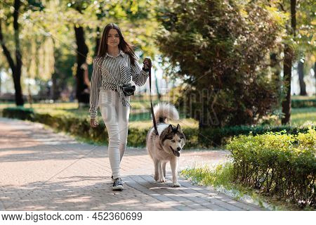 A Girl Walks With A Dog In The Park. Advertising Of Products For Animals. Outdoor
Activities.