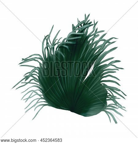Watercolor Green Pampas Grass Isolated On A White Background. Bouquet Of Dry Herbs. Fashionable Deco