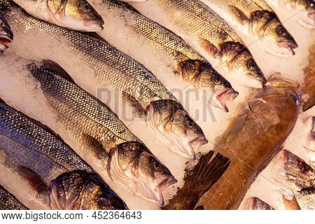 Fish Market In Turkey. Fresh Sea Bass On The Counter.