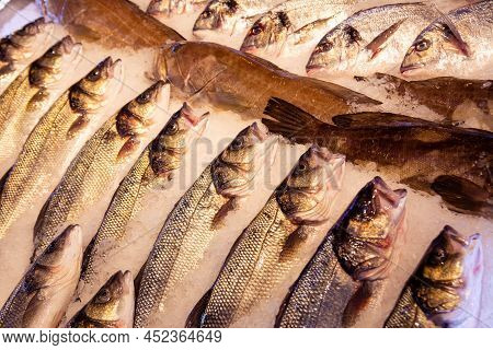 Fish Market In Turkey. Fresh Sea Bass On The Counter.