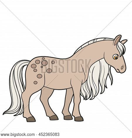Cute Cartoon Big Horse Color Variation For Coloring Page Isolated On White Background