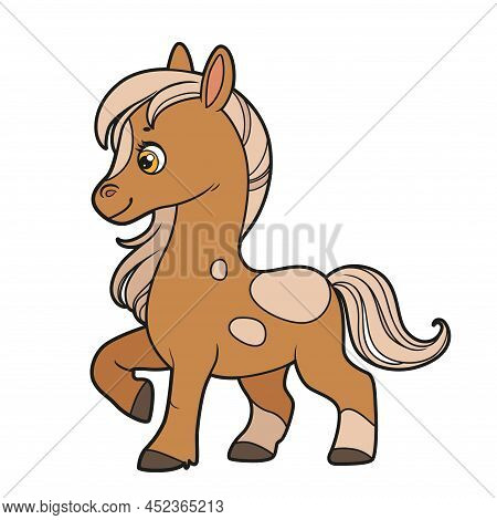 Cute Cartoon Little Horse Color Variation For Coloring Book On White Background