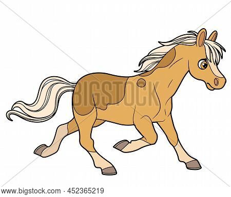 Cute Cartoon Spotted Horse Running Forward Color Variation For Coloring Page Isolated On White Backg