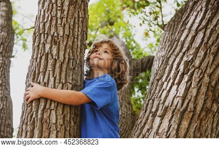 Young Boy Hugging A Tree Branch. Little Boy Kid On A Tree Branch. Child Climbs A Tree.