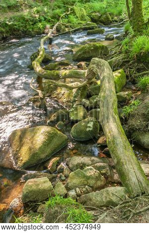 Golitha Falls,fallen Tree Branch And Flowing Waters,liskeard,cornwall,england,uk