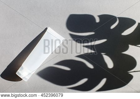 Plastic Tube For Cream Or Lotion On A Gray Background With Shadow Of Montera Leaves. Beauty Concept