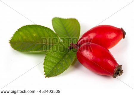 Rosehip Isolated On A White Background. Fresh Raw Briar Berries With Leaves