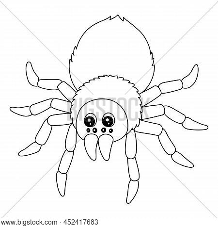 A Cute And Funny Coloring Page Of A Tarantula Animal. Provides Hours Of Coloring Fun For Children. T