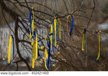 Ribbons On The Branches Of A Tree, Symbols Of Ukraine. Blue And Yellw Are The Colors Of Ukrainian Na