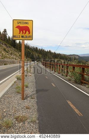 Road Sign Speeding Kills Wildlife In Mammoth Lakes