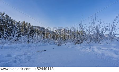 A Path Was Trodden In The Snow-covered Valley. Frosted Bushes On The Sides Of The Trail. Mountain Ra