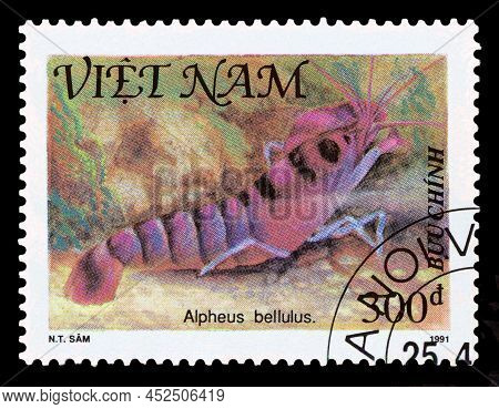 Stavropol, Russia - April 05 2022: A Stamp Printed By  Vietnam;  Shows  Shrimp  Alpheus Bellulus, Se