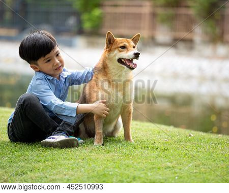 Asian Male Child In Blue Shirt Sitting Hug Brwon Shiba Inu Dog In Green Park