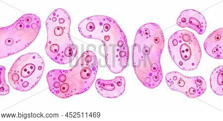Watercolor Horizontal Seamless Border Of Pink Purple Cells Microalgae Microorganisms, Microscope Bio