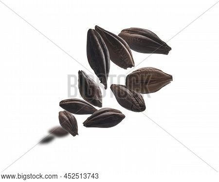 Roasted Rye Malt Grains Levitate On A White Background