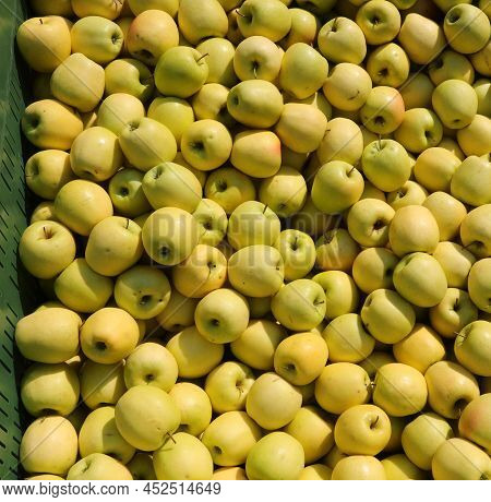 Bix Box Full Of Green Apples For Sale
