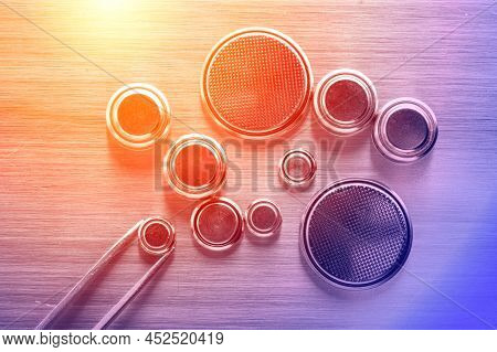 Button Cell Battery
