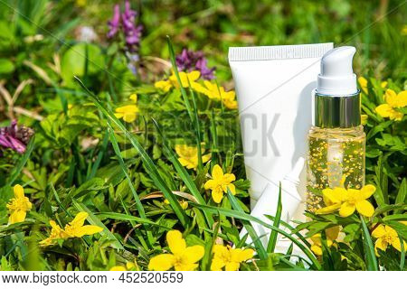 Foraged And Wild-harvested Beauty