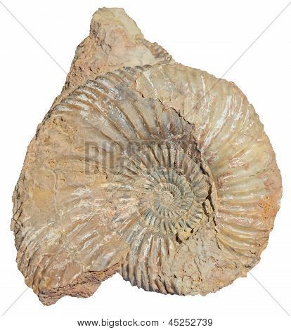 Pietra di lumaca