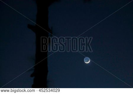 Crescent Moon With A Tree In A Dark Night