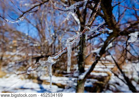 Iced Water Drops In Ifrane City In Morocco