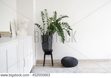 Scandinavian Style Room Interior In White Tones. A Chest Of Drawers With A Photo Frame, A Large Indo