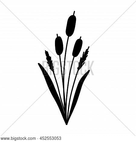 Reed Grass Silhouette. Black Hand Drawn Reeds Sketch. Vector Isolated Element.