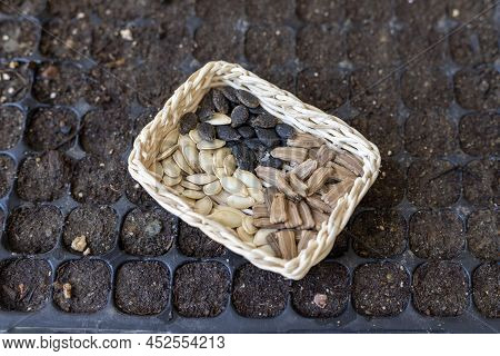 Mixed Vegetable Seeds In A Small Basket
