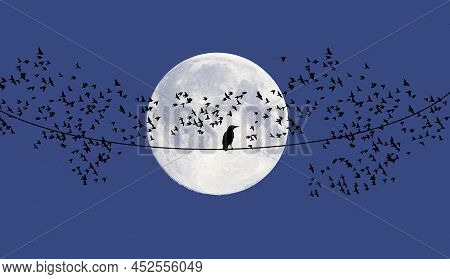 A Brid, A Starling, Rests On A Wire In Front Of A Full Moon As A Flock Of Starlings Flies By Looking