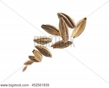 Barley Malt Grains Levitate On A White Background