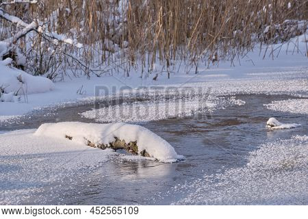 Winter Landscape Of Frozen Lesna River In Sunny Day With Dry Reed Snow Wrapped In Foreground,bialowi