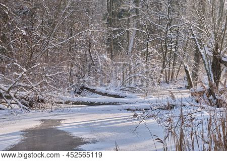 Winter Landscape Of Frozen Lesna River In Sunny Day With Broken Tree Across, Bialowieza Forest, Pola