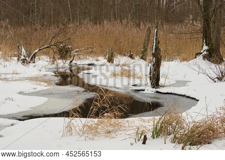 Winter Landscape Of Frozen Lesna River In Cloudy Day With Dry Reed In Background, Podlasie Voivodesh