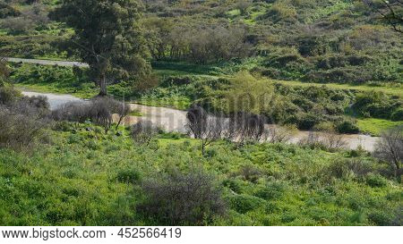 River Jordan Near 