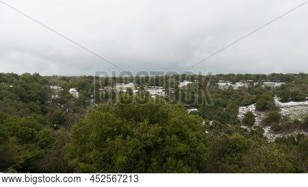 Snow In Odem Forest Near The Big Juba, Israel. Forest Covered In Snow. Green Trees And White Snow