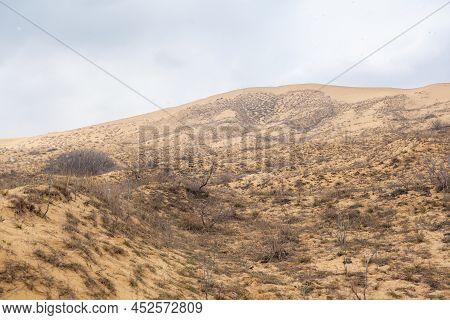 Sarykum Dune. Dagestan, Russia. A Unique Sandy Mountain In The Caucasus On A Cloudy Day. Grass Grows