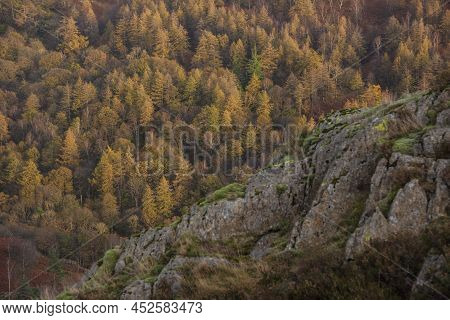 Beautiful Autumn Landscape Image Of Forest Woodlands Around Holme Fell In Lake District
